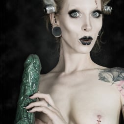 Razor Candi in 'Razor Candi' Tattooed Bride of Frankenstein Cosplay (Thumbnail 12)